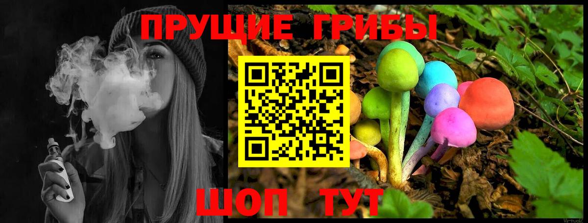 Псилоцибиновые грибы Psilocybe  Вход с VPN  Арсеньев 